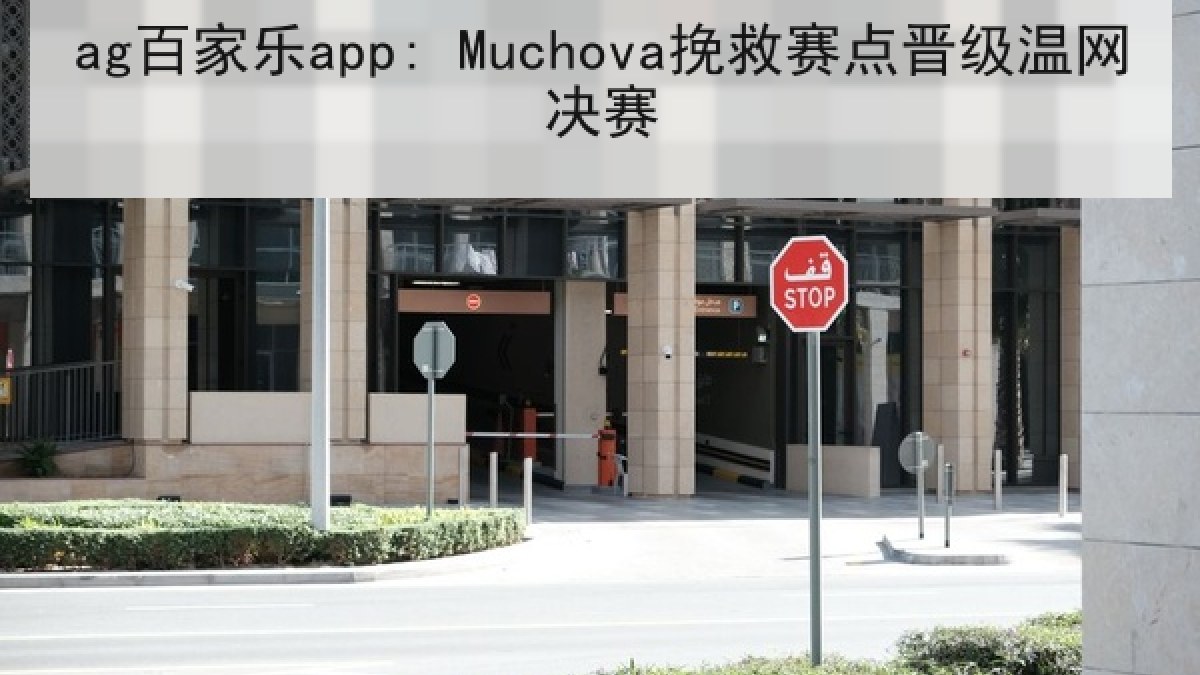 ag百家乐app: Muchova挽救赛点晋级温网决赛